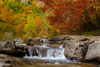 Картинка природа реки озера простор