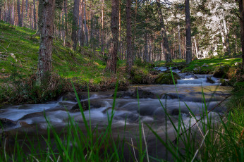 Картинка природа реки озера простор