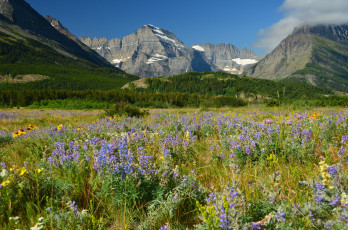 Картинка природа пейзажи простор