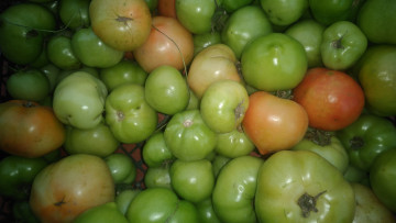 Картинка еда помидоры