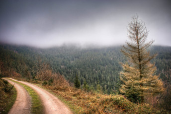 Картинка природа дороги простор