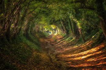 Картинка природа дороги простор