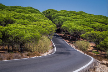 Картинка природа дороги простор