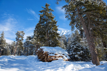 Картинка природа зима простор