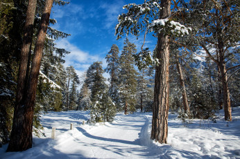 Картинка природа зима простор