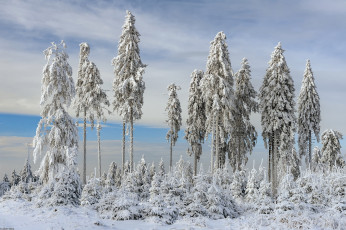 Картинка природа зима простор