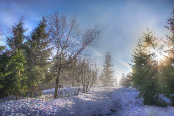 Картинка природа зима простор