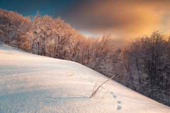 Картинка природа зима простор