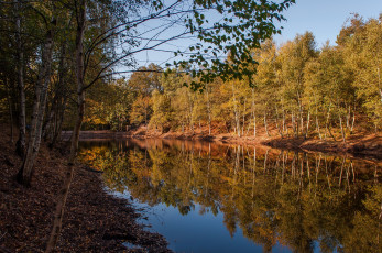 Картинка природа реки озера простор