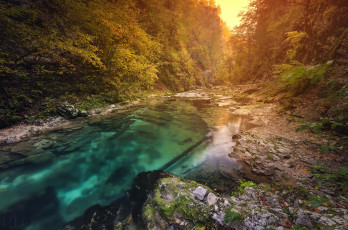 Картинка природа реки озера река осень лес