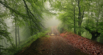 Картинка природа дороги простор