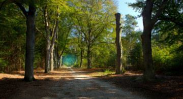 Картинка природа дороги простор