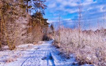 Картинка природа зима простор