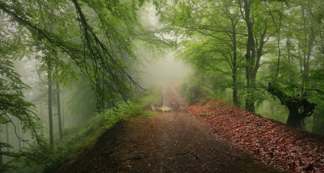 Обои картинки фото природа, дороги, простор