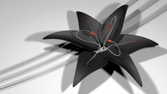 Обои картинки фото 3д графика, цветы , flowers, цвет, фон, узор