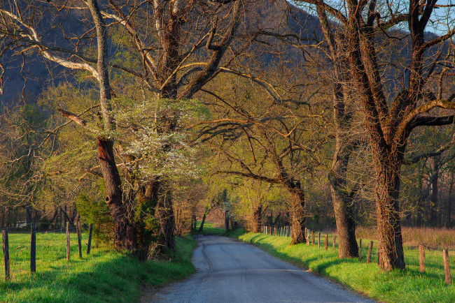 Обои картинки фото природа, дороги, простор