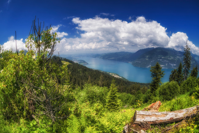 Обои картинки фото природа, пейзажи, простор