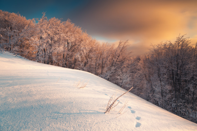 Обои картинки фото природа, зима, простор