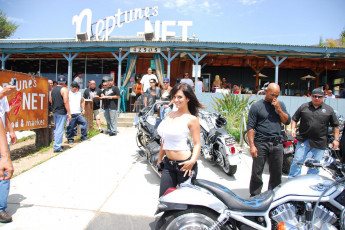 Картинка девушки denise+milani брюнетка топ джинсы байкеры кафе