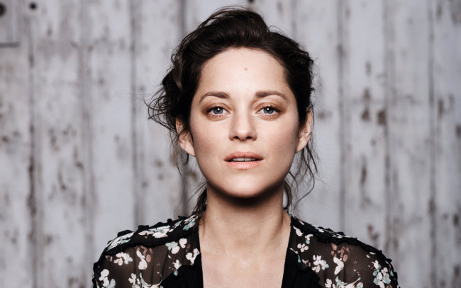 Обои картинки фото marion cotillard, девушки, брюнетка, лицо