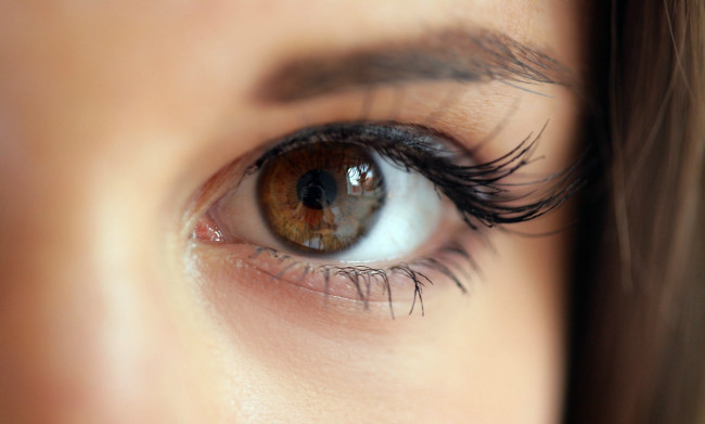 Обои картинки фото разное, глаза, карий, глаз