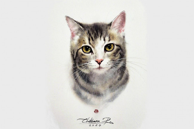 Обои картинки фото рисованное, животные,  коты, кот, голова