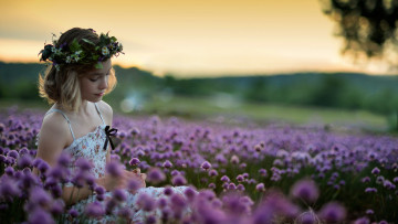 Картинка девушки -+лица +портреты блондинка венок поле цветы