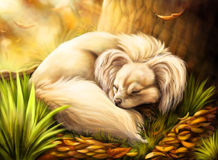 обоя рисованное, животные,  собаки, собака, сон, листья, осень, трава