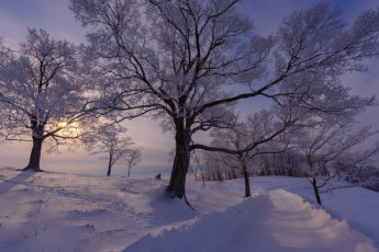 обоя природа, зима, снег