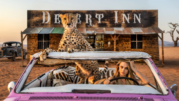 Картинка девушки cara+delevingne блондинка машина гепард гостиница