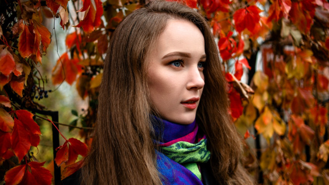 Обои картинки фото девушки, ксана станкевич, шатенка, лицо, шарф, осень, листья, дикий, виноград