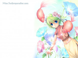 Картинка аниме miss surfersparadise