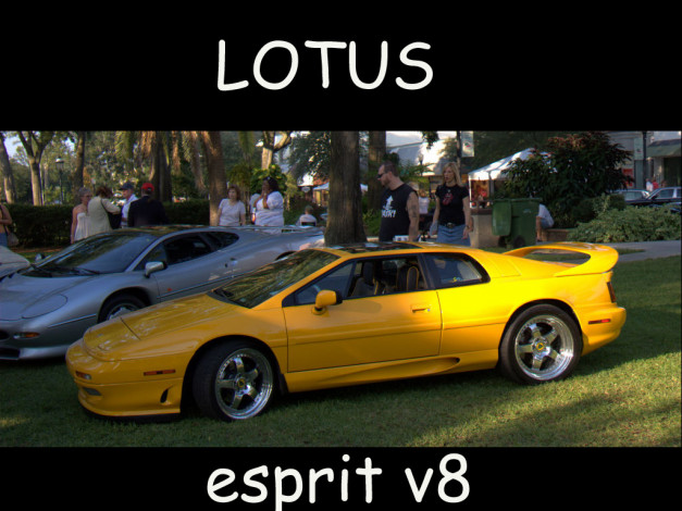 Обои картинки фото автомобили, lotus