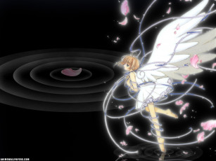 Картинка аниме card captor sakura