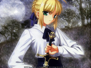 Картинка аниме fate stay night