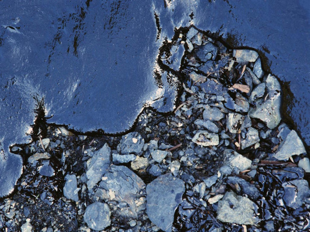 Обои картинки фото 