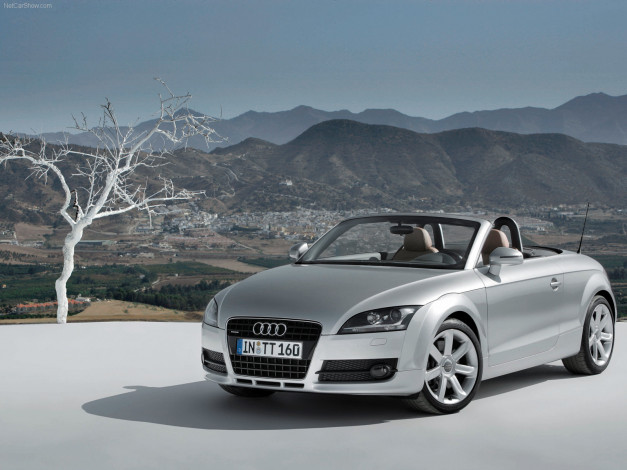 Обои картинки фото audi, tt, roadster, 2007, автомобили