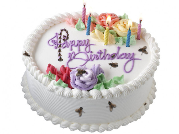 Обои картинки фото юмор, приколы