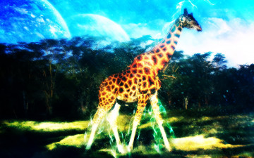 Картинка животные жирафы