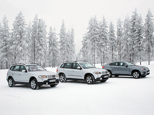 Обои картинки фото автомобили, bmw