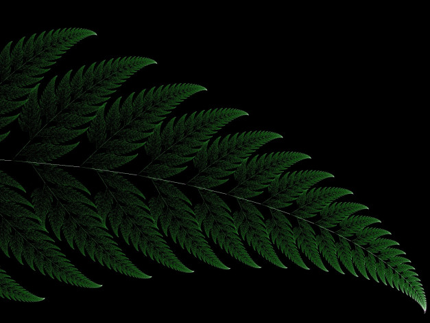 Обои картинки фото 3д, графика, fractal, фракталы, узор, фрактал