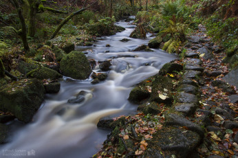 Картинка природа реки озера осень река лес