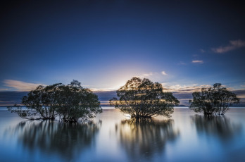 Картинка lake taupo new zealand природа реки озера новая зеландия озеро деревья
