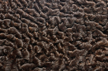 Картинка разное текстуры мех фон