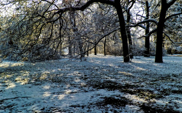 Картинка венгрия пешт природа зима парк