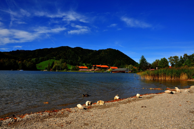 Обои картинки фото германия, мисбах, природа, реки, озера, река