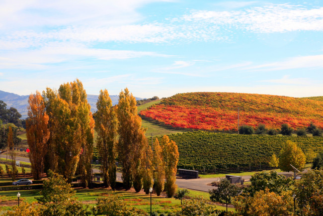 Обои картинки фото природа, поля, осень