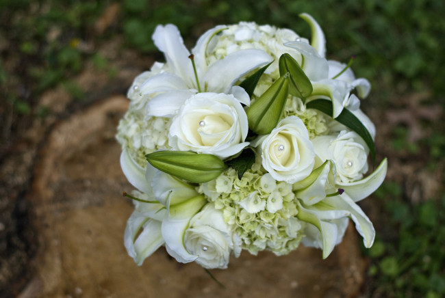 Обои картинки фото цветы, букеты, композиции, гортензия, лилии, розы