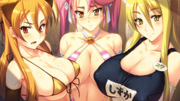 Картинка аниме highschool+of+the+dead девушки