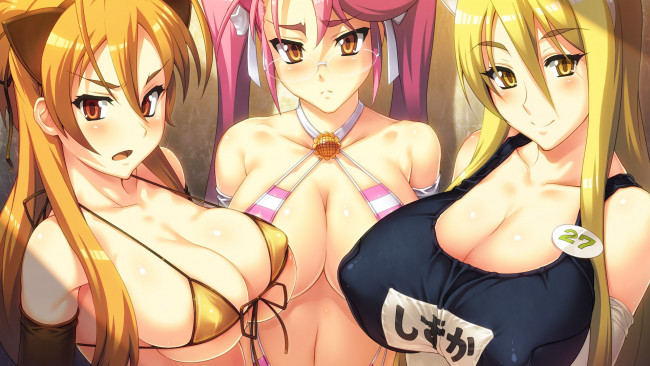 Обои картинки фото аниме, highschool of the dead, девушки